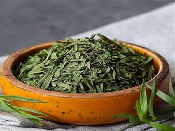 تصویر 2 از قیمت سبزی تره شمالی با کیفیت ارزان + خرید عمده
